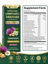 liposomal-lymphatic-drainage-drops-organ-4.jpg
