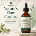 lymphatic-drainage-drops-relieve-bloatin-2.jpg