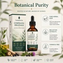 lymphatic-drainage-drops-relieve-bloatin-3.jpg