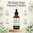 lymphatic-drainage-drops-relieve-bloatin-4.jpg
