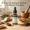 ancient-roots-lymphatic-drainage-2fl-oz-4.jpg
