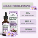 lymphatic-drainage-drops-30-in-1-lymphat-6.jpg