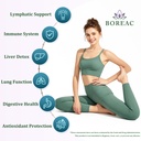 lymphatic-drainage-drops-30-in-1-lymphat-3.jpg