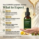 7-in-1-lymphatic-drainage-drops-high-pot-5.jpg