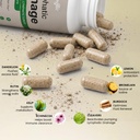 lymphatic-drainage-supplement-lymphatic--3.jpg