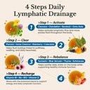 venture-pal-16-in-1-lymphatic-drainage-d-3.jpg