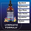 liberty-lifestyle-lymphatic-drainage-sup-2.jpg