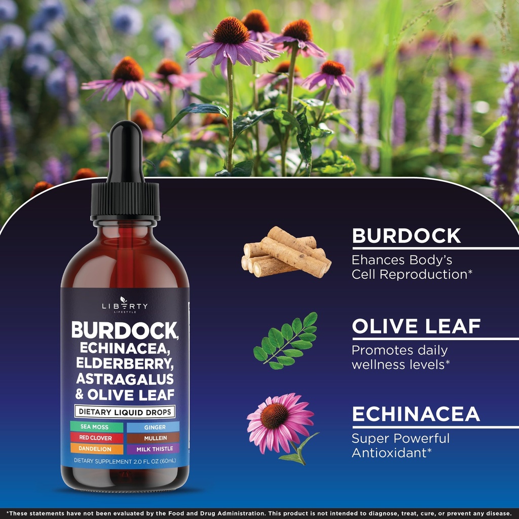 liberty-lifestyle-lymphatic-drainage-sup-5.jpg