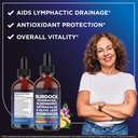 liberty-lifestyle-lymphatic-drainage-sup-4.jpg