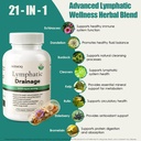 lymphatic-drainage-supplements-natural-l-4.jpg