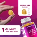 vitamatic-sugar-free-folic-acid-1-mg-gum-3.jpg