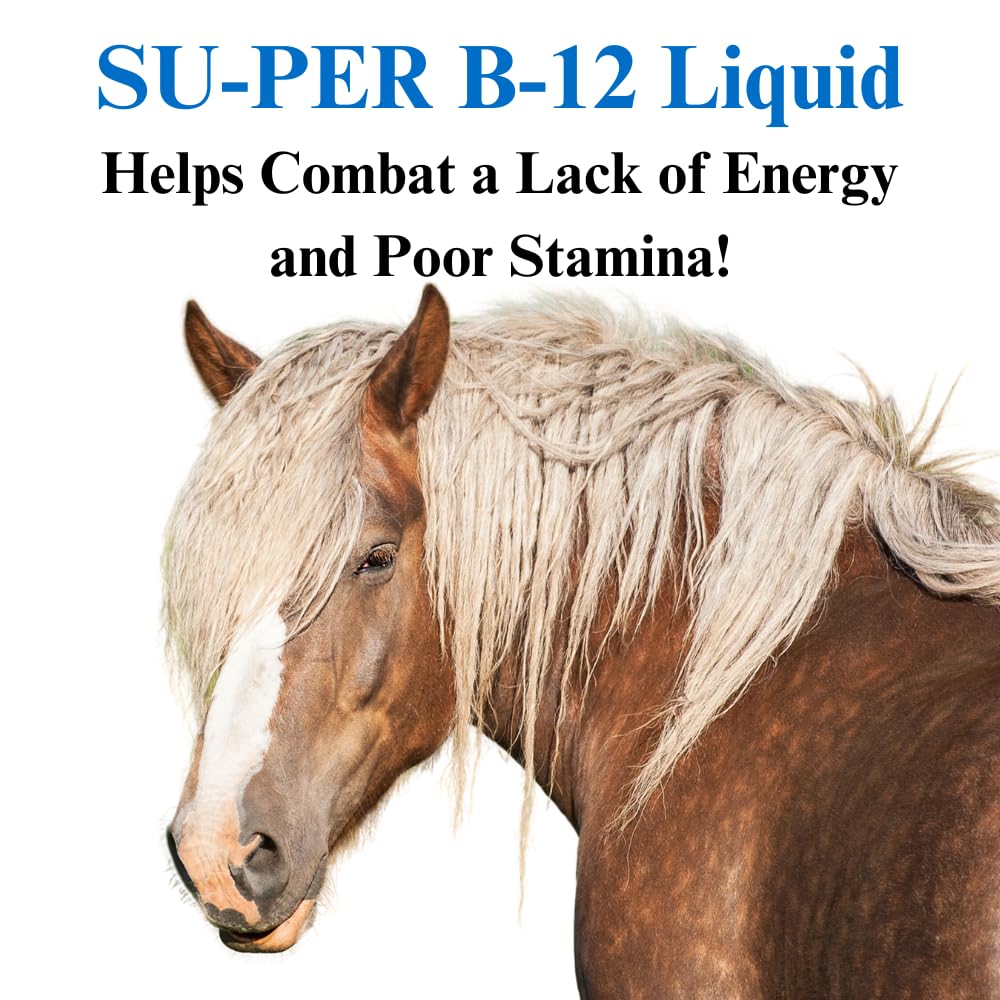 su-per-b-12-energy-horse-supplement-equi-3.jpg