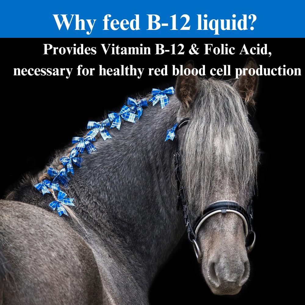 su-per-b-12-energy-horse-supplement-equi-5.jpg