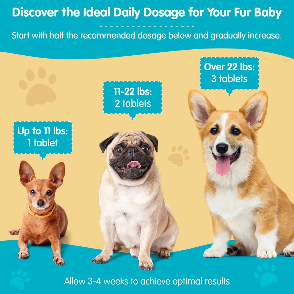 wanderfound-pets-same-100-liver-support--6.jpg