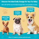wanderfound-pets-same-100-liver-support--6.jpg