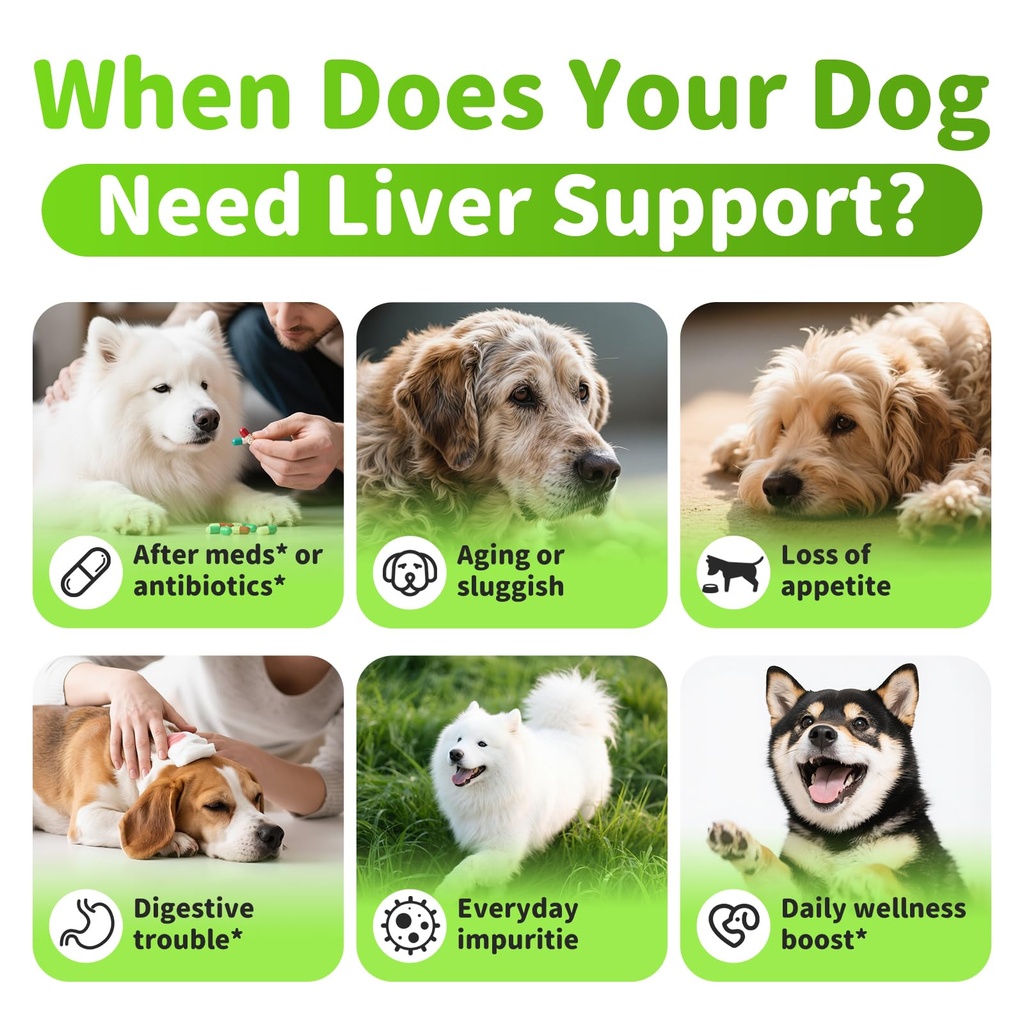 dog-liver-support-chews-with-milk-thistl-5.jpg