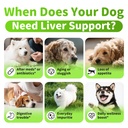dog-liver-support-chews-with-milk-thistl-5.jpg
