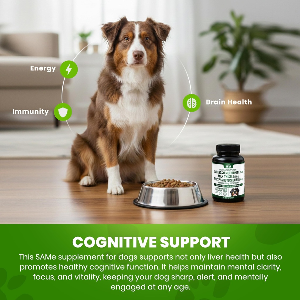 liver-support-supplement-for-large-dogs--6.jpg