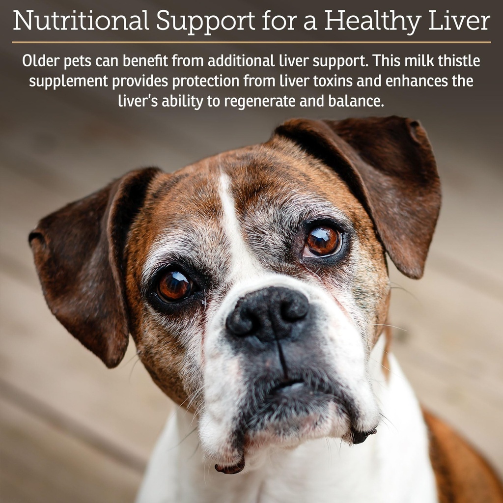 rx-vitamins-liquid-hepato-support-for-do-2.jpg