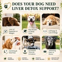 advanced-liver-support-supplement-for-do-2.jpg