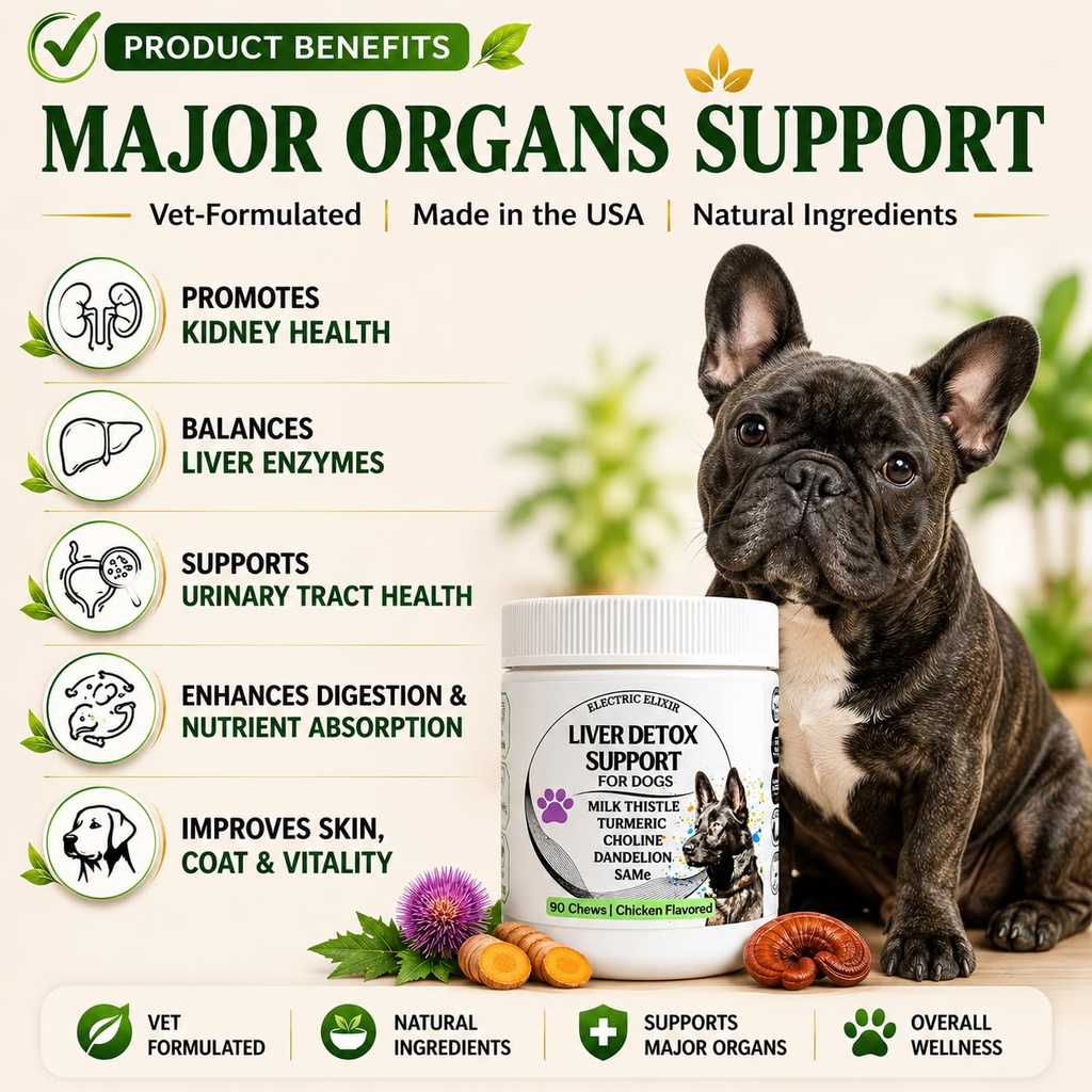 advanced-liver-support-supplement-for-do-3.jpg