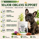 advanced-liver-support-supplement-for-do-3.jpg