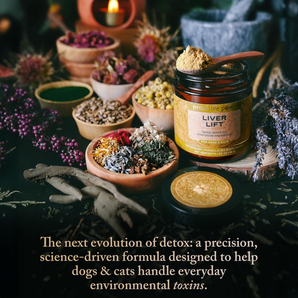 proactive-paws-liver-lift-daily-detox-or-5.jpg
