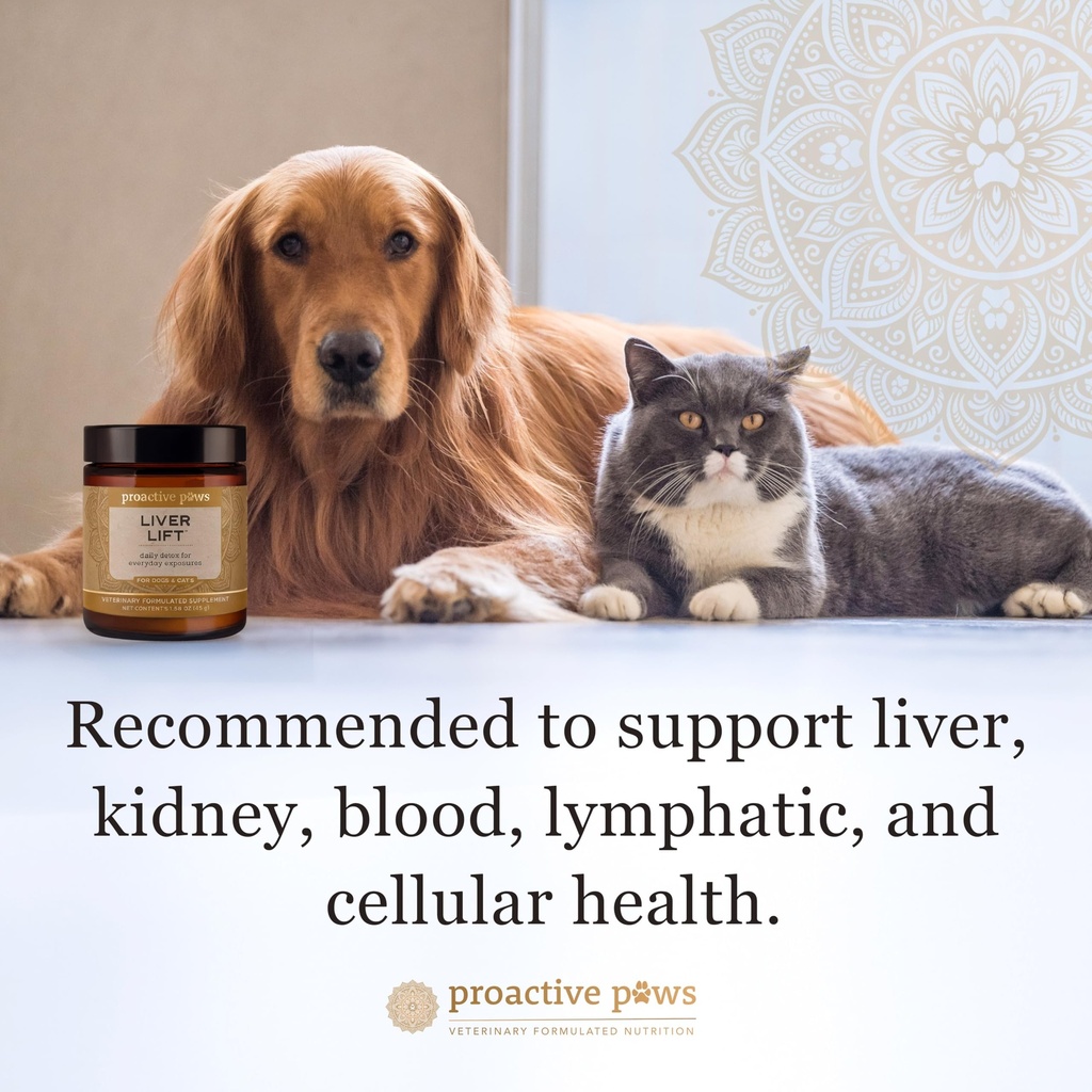 proactive-paws-liver-lift-daily-detox-or-6.jpg