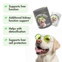 liver-kidney-support-for-dogs-detox-natu-2.jpg
