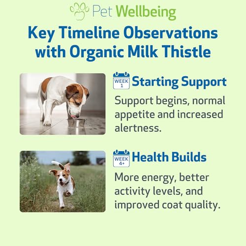 pet-wellbeing-adrenal-harmony-gold-organ-4.jpg