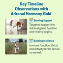 pet-wellbeing-adrenal-harmony-gold-organ-2.jpg