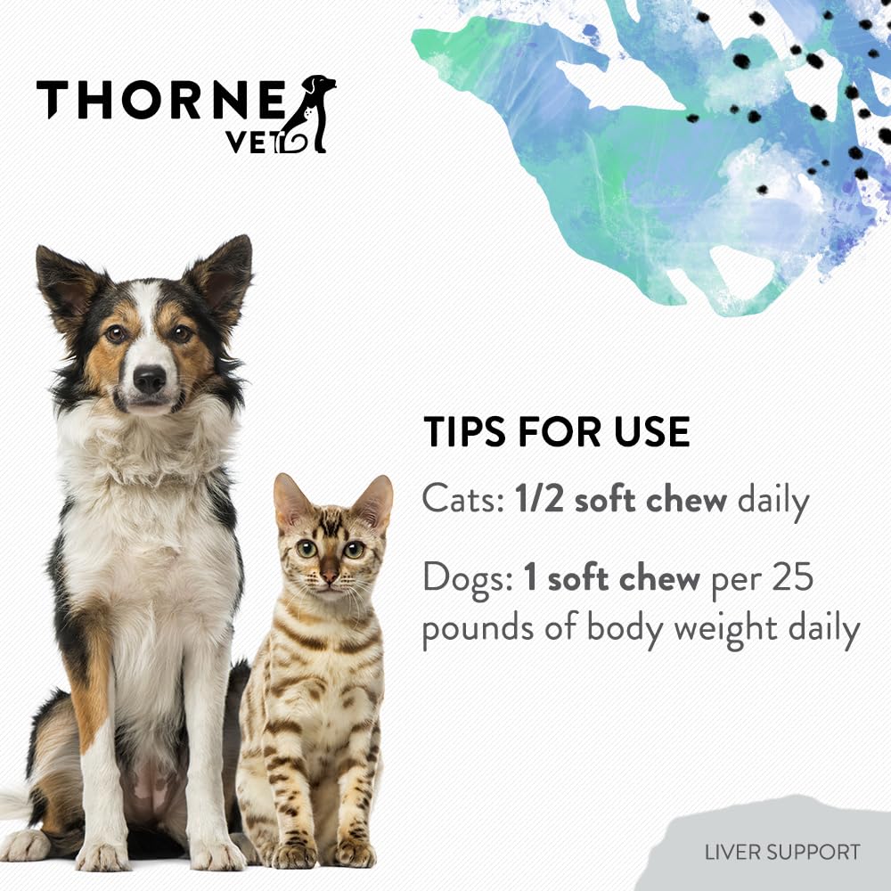 liver-support-formula-and-canine-geriatr-4.jpg