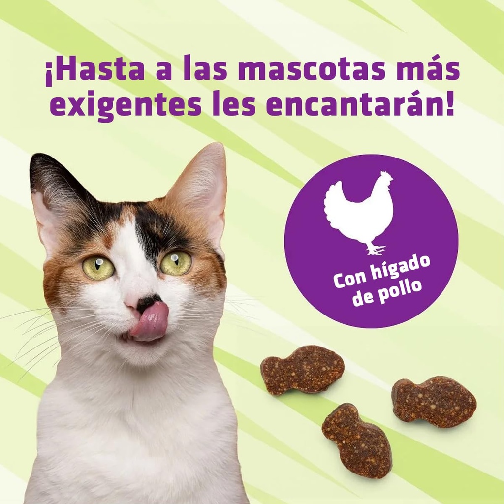 pet-naturals-lysine-for-cats-chicken-fla-4.jpg