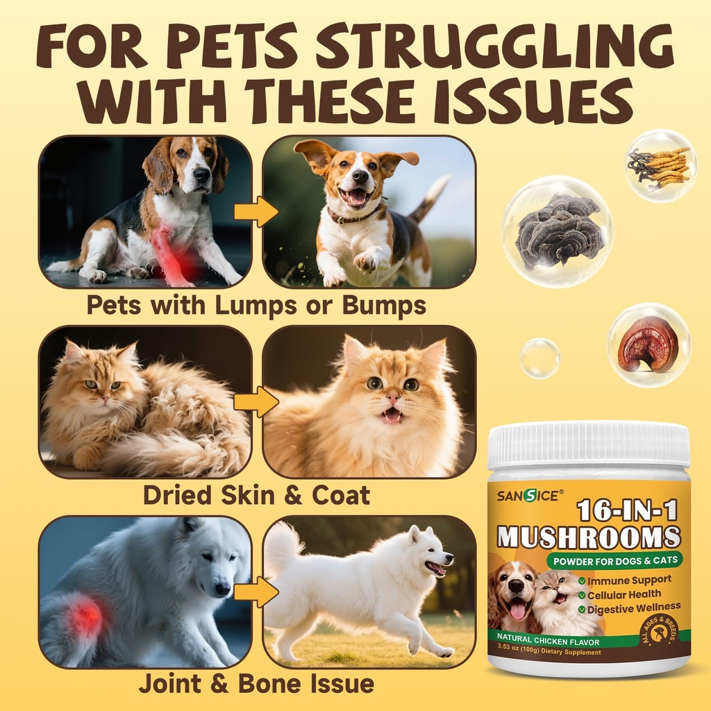 turkey-tail-mushroom-powder-for-dogs-cat-3.jpg
