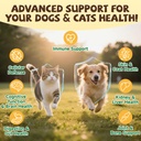 turkey-tail-mushroom-powder-for-dogs-cat-4.jpg
