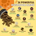 turkey-tail-mushroom-powder-for-dogs-cat-6.jpg