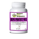 hepa-protect-max-capsules-for-liver-and--6.jpg