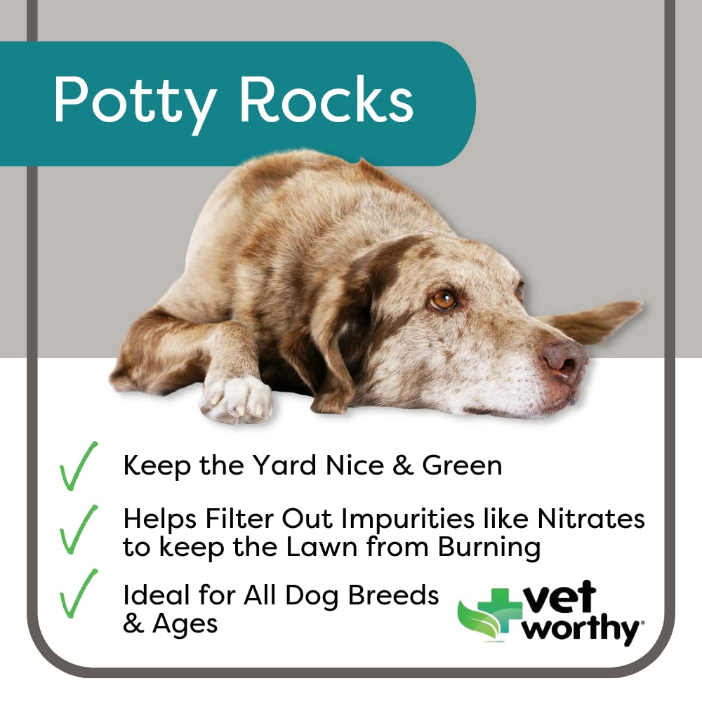 potty-rocks-for-dogs-paramagnetic-igneou-2.jpg