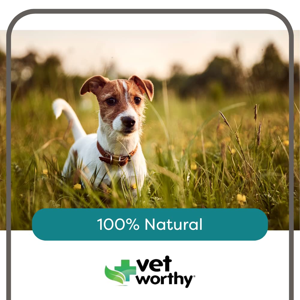 potty-rocks-for-dogs-paramagnetic-igneou-4.jpg