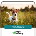 potty-rocks-for-dogs-paramagnetic-igneou-4.jpg