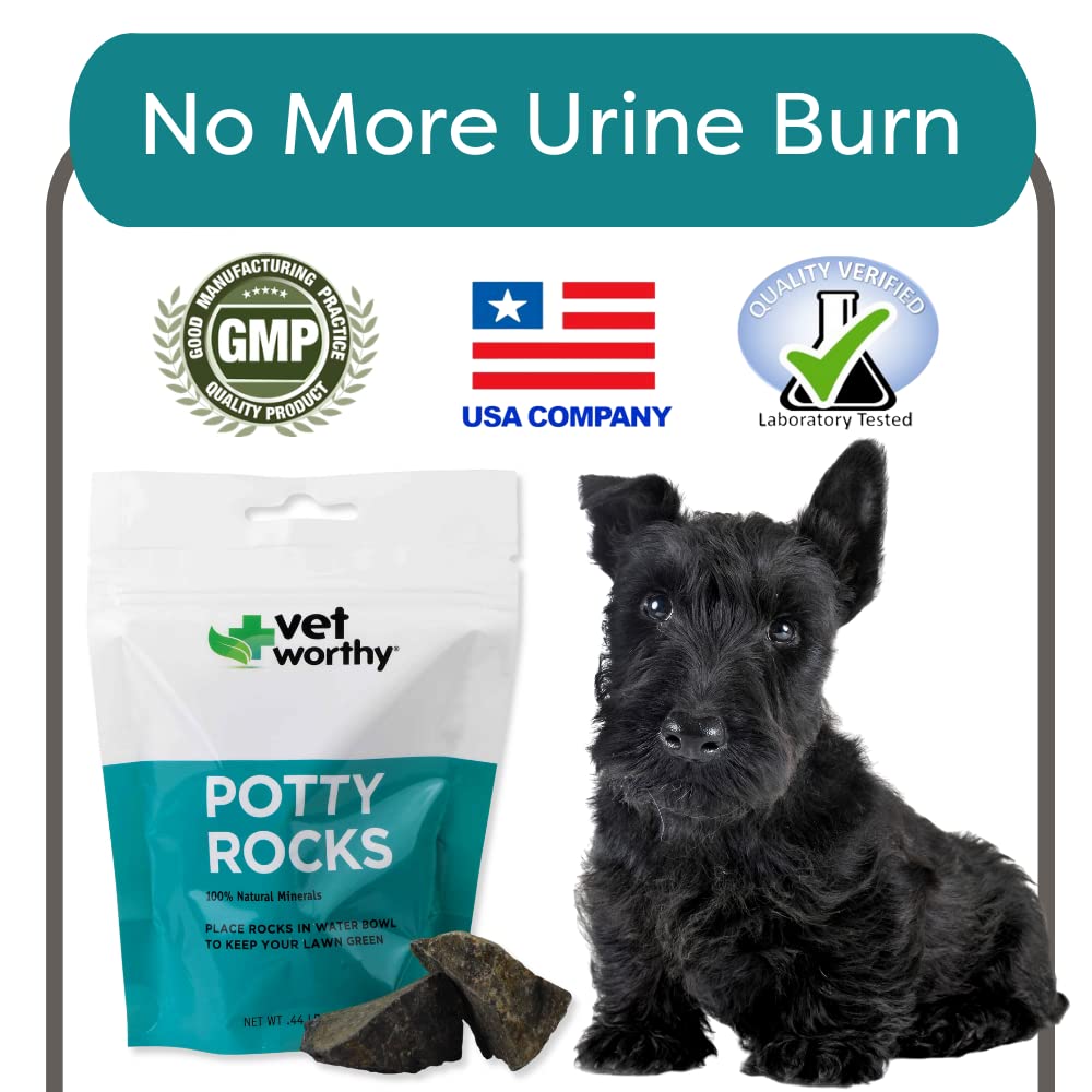 potty-rocks-for-dogs-paramagnetic-igneou-6.jpg