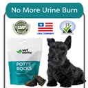 potty-rocks-for-dogs-paramagnetic-igneou-6.jpg