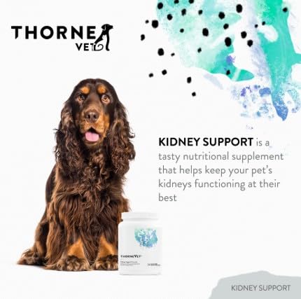 kidney-support-for-dogs-cats-chewable-fo-2.jpg