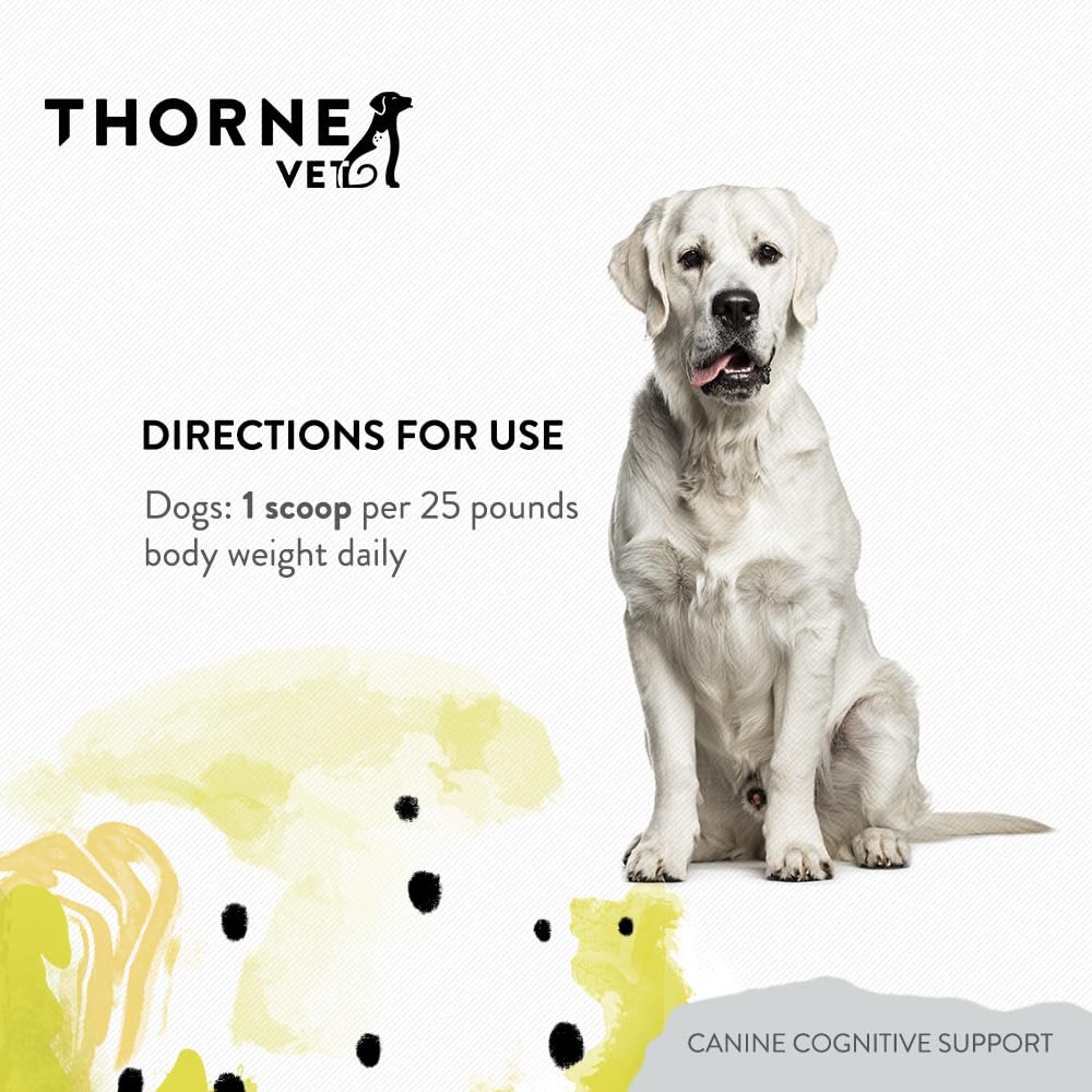 canine-cognitive-support-powder-for-dogs-6.jpg