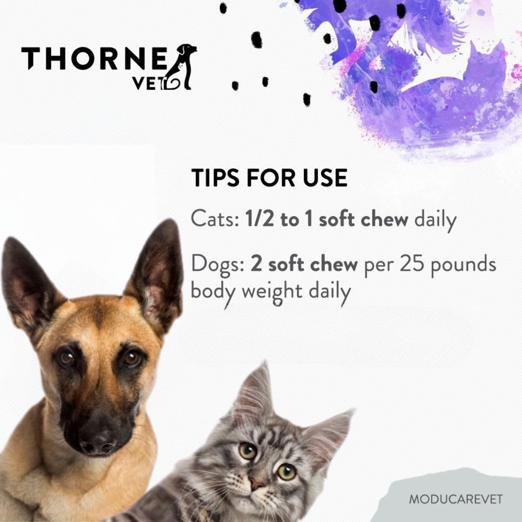 moducarevet-immune-system-support-from-p-6.jpg