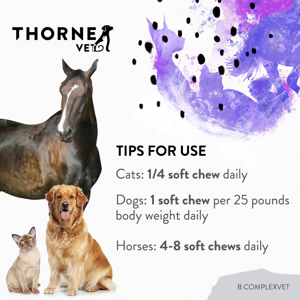 b-complexvet-and-canine-basic-nutrients--4.jpg