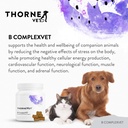 b-complexvet-and-canine-geriatric-basics-2.jpg