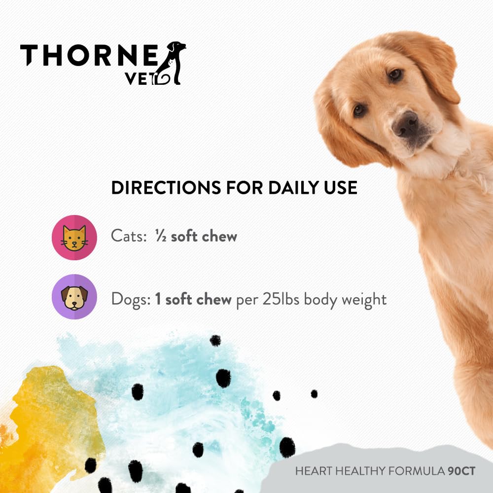 heart-health-formula-and-canine-geriatri-4.jpg