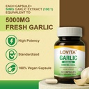 lovita-dual-wellness-bundle-2-propolis-l-3.jpg