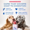 native-pet-organic-pumpkin-for-dogs-60-s-3.jpg